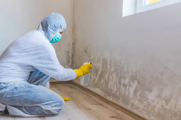 Hvac And Air Duct Mold Remediation inspection of HVAC system in Burlington